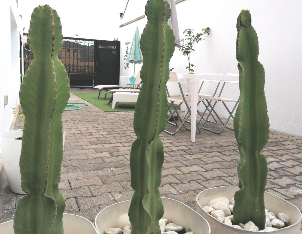 * Estudio Orobanca Apartment *