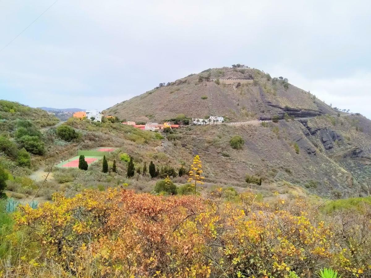 * Estudio Orobanca Santa Brigida (Gran Canaria)